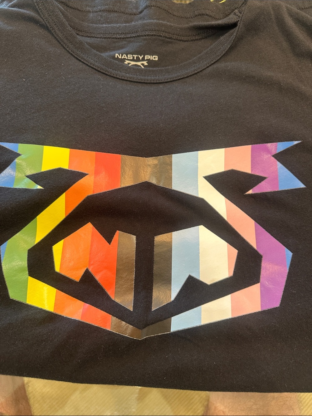 Nasty Pig Black Tee with Rainbow Stripe Logo